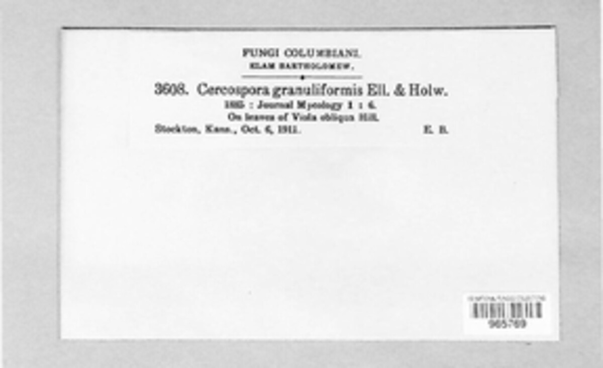 Passalora granuliformis image